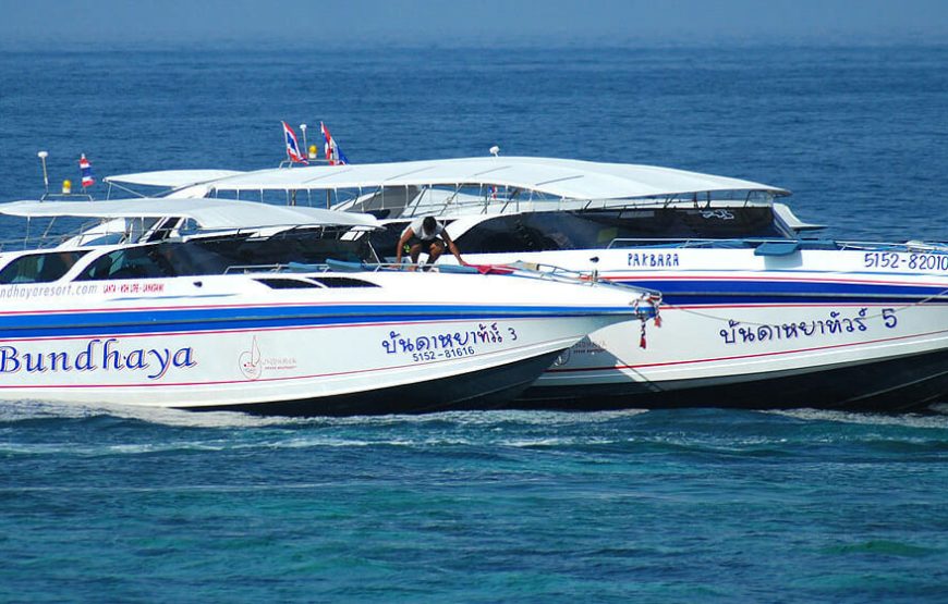 Phi Phi Island By Speed Boat with Lunch