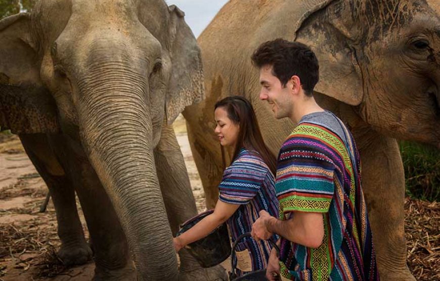 Elephant Jungle Sanctuary Pattaya