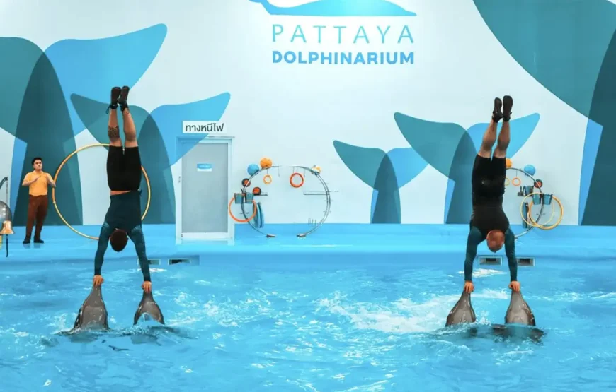 Dolphinarium Show Pattaya