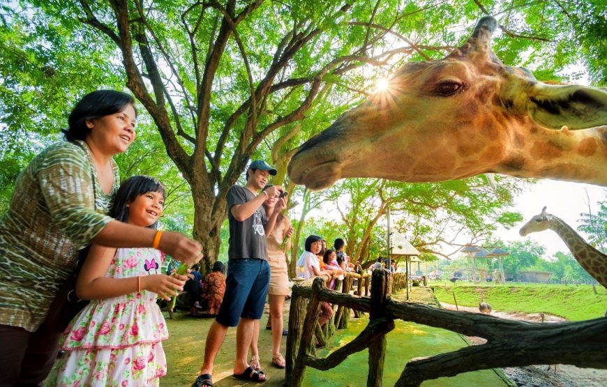 Khao Kheow Open Zoo