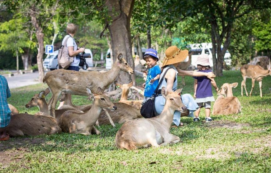 Khao Kheow Open Zoo