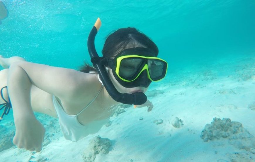 Phi Phi Island By Speed Boat with Lunch