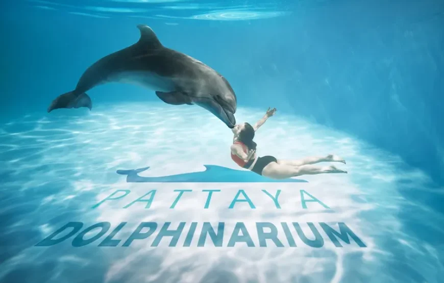 Dolphinarium Show Pattaya