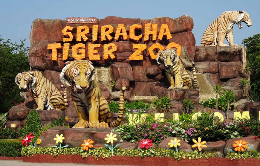 Tiger Topia Sriracha Zoo