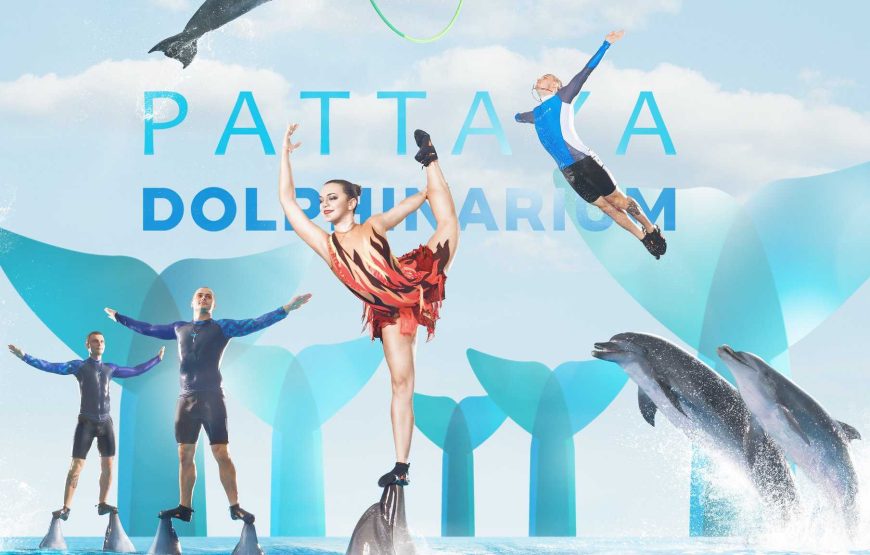 Dolphinarium Show Pattaya