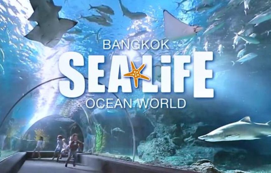 Sea Life Ocean World + Madame Tussauds