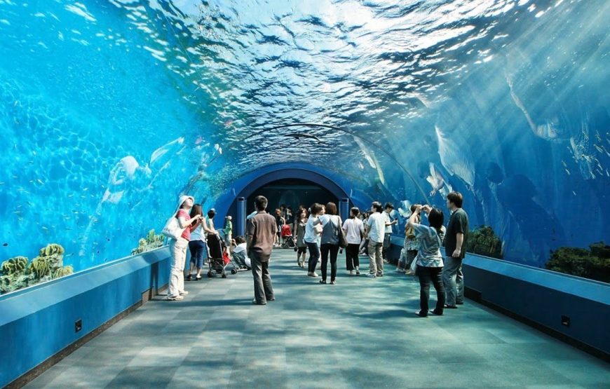 Underwater World Pattaya