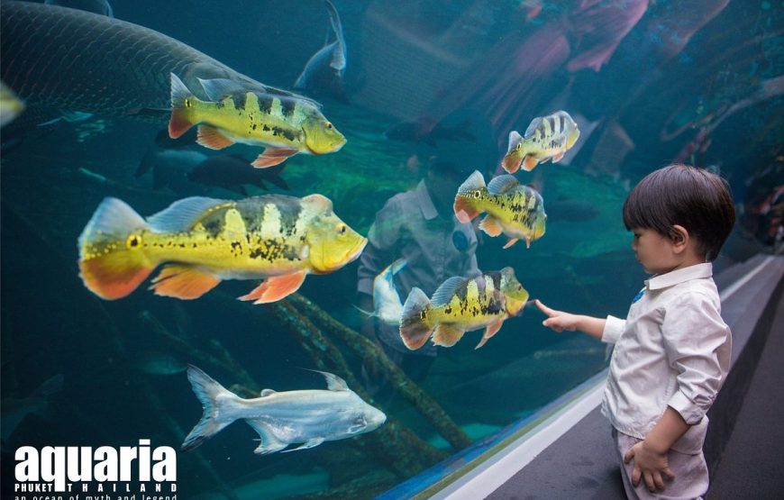 Aquaria Phuket