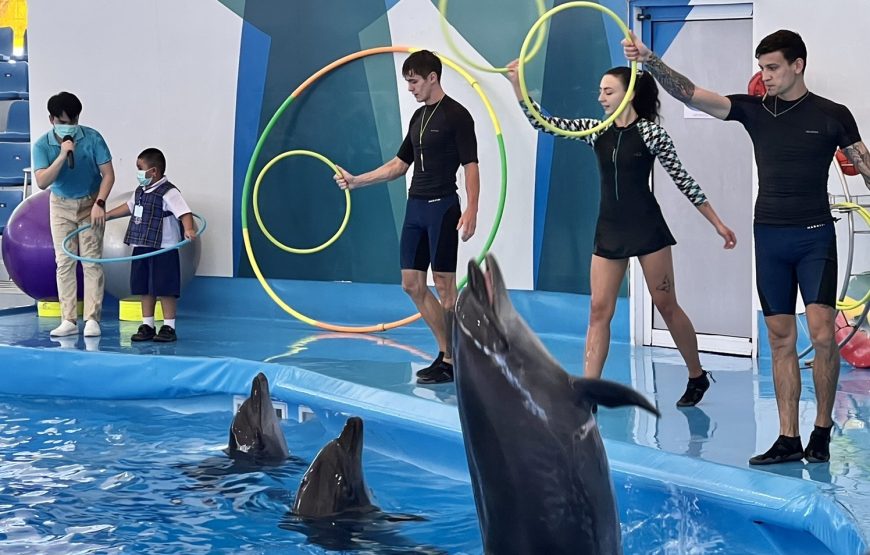 Dolphinarium Show Pattaya