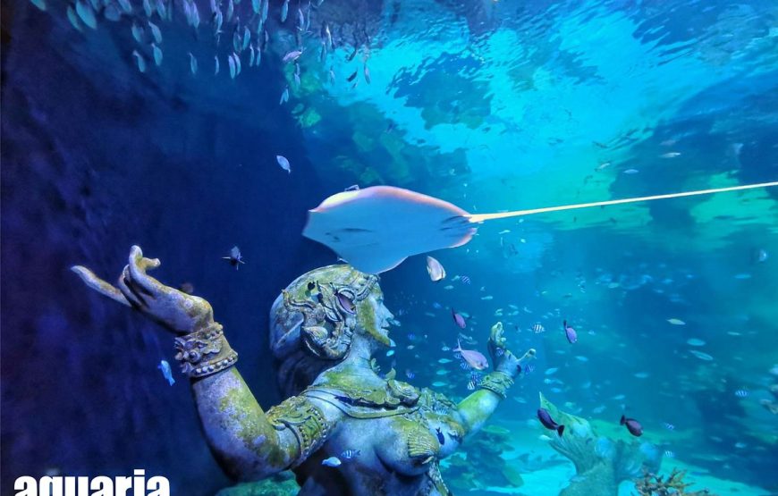 Aquaria Phuket