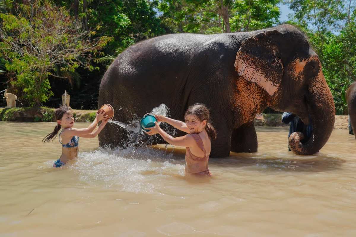 Elephant Jungle Sanctuary Phuket Experience