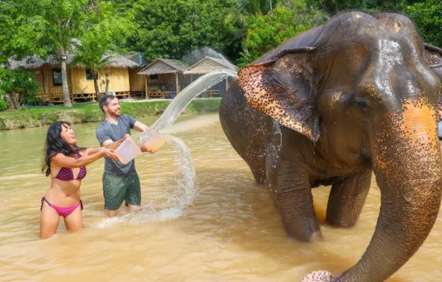 Elephant Jungle Sanctuary Phuket Experience