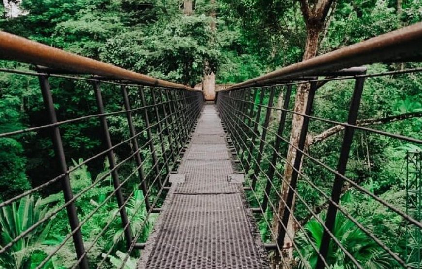 Zipline Adventure at Hanuman World in Phuket with Skywalk