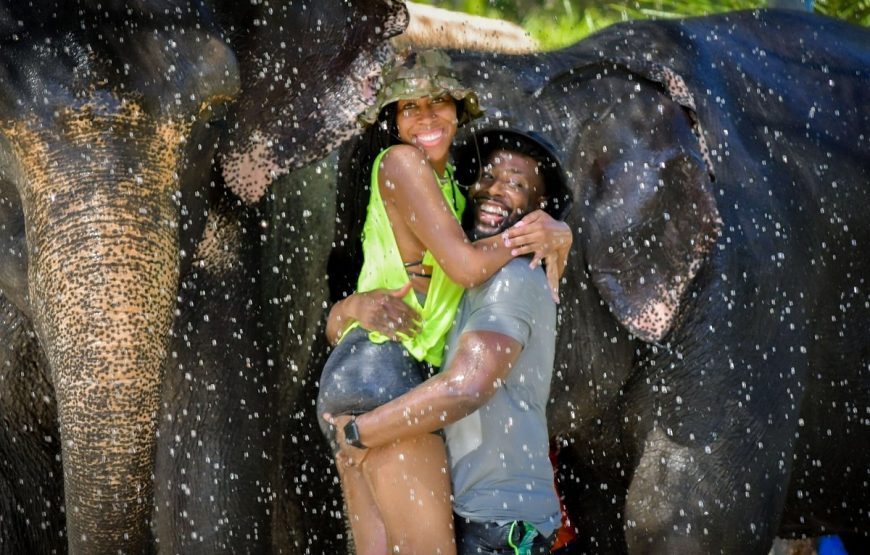 Elephant Jungle Sanctuary Phuket Experience